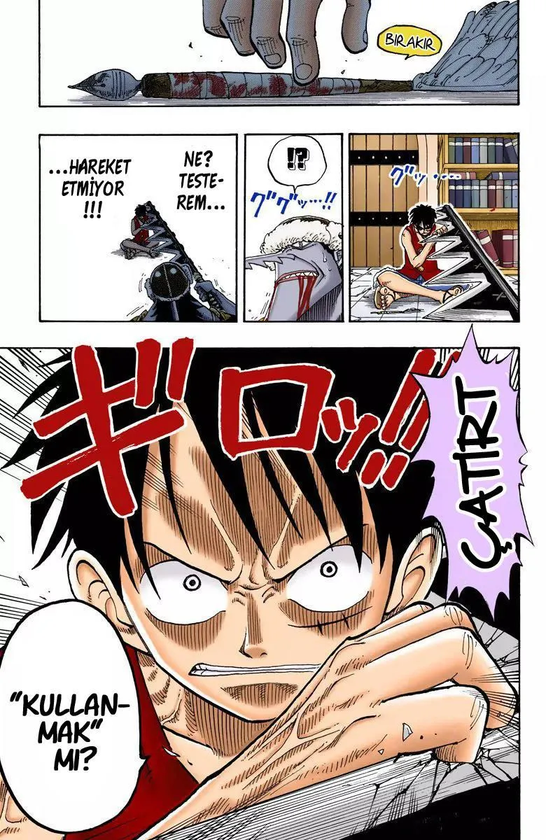 One Piece [Renkli] - Sayfa 20