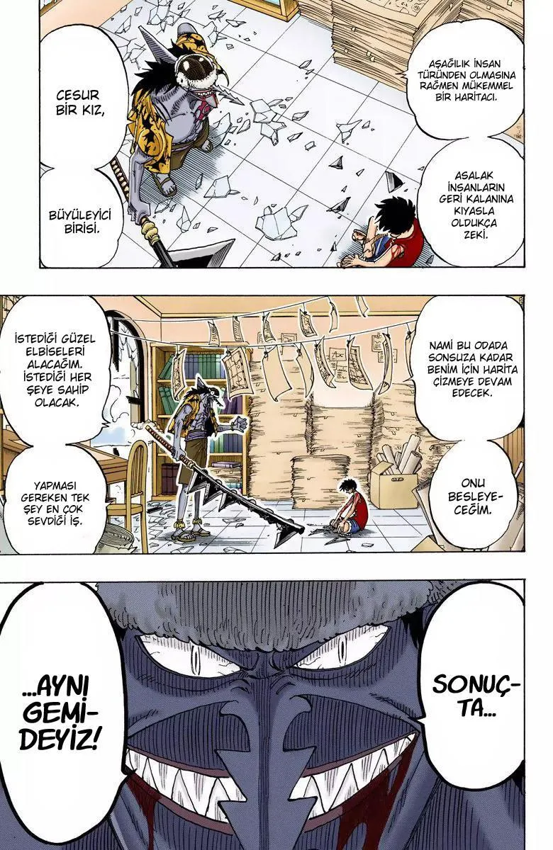 One Piece [Renkli] - Sayfa 4