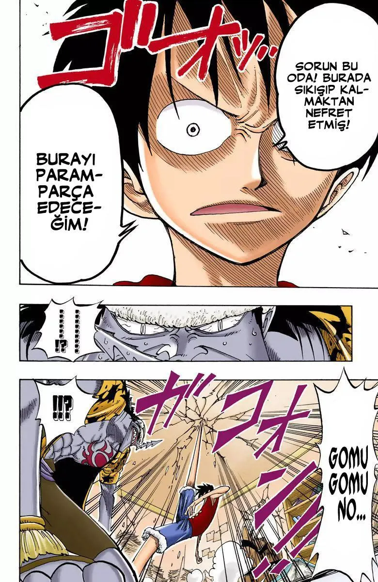 One Piece [Renkli] - Sayfa 13