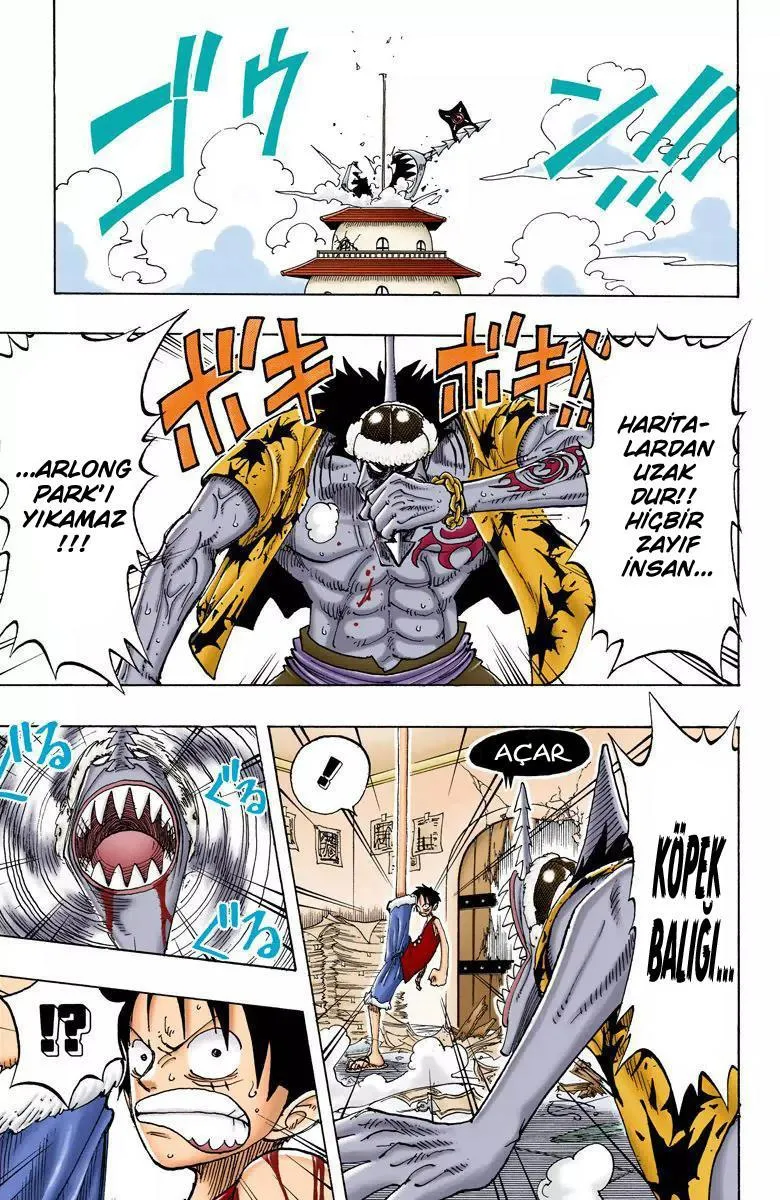 One Piece [Renkli] - Sayfa 14