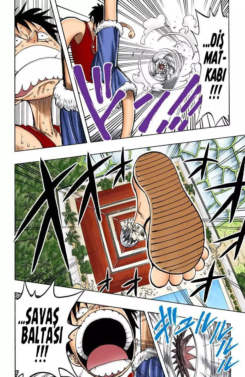 One Piece [Renkli] - Sayfa 15