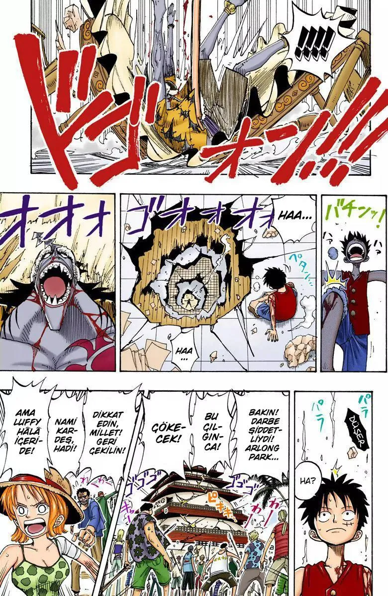 One Piece [Renkli] - Sayfa 18