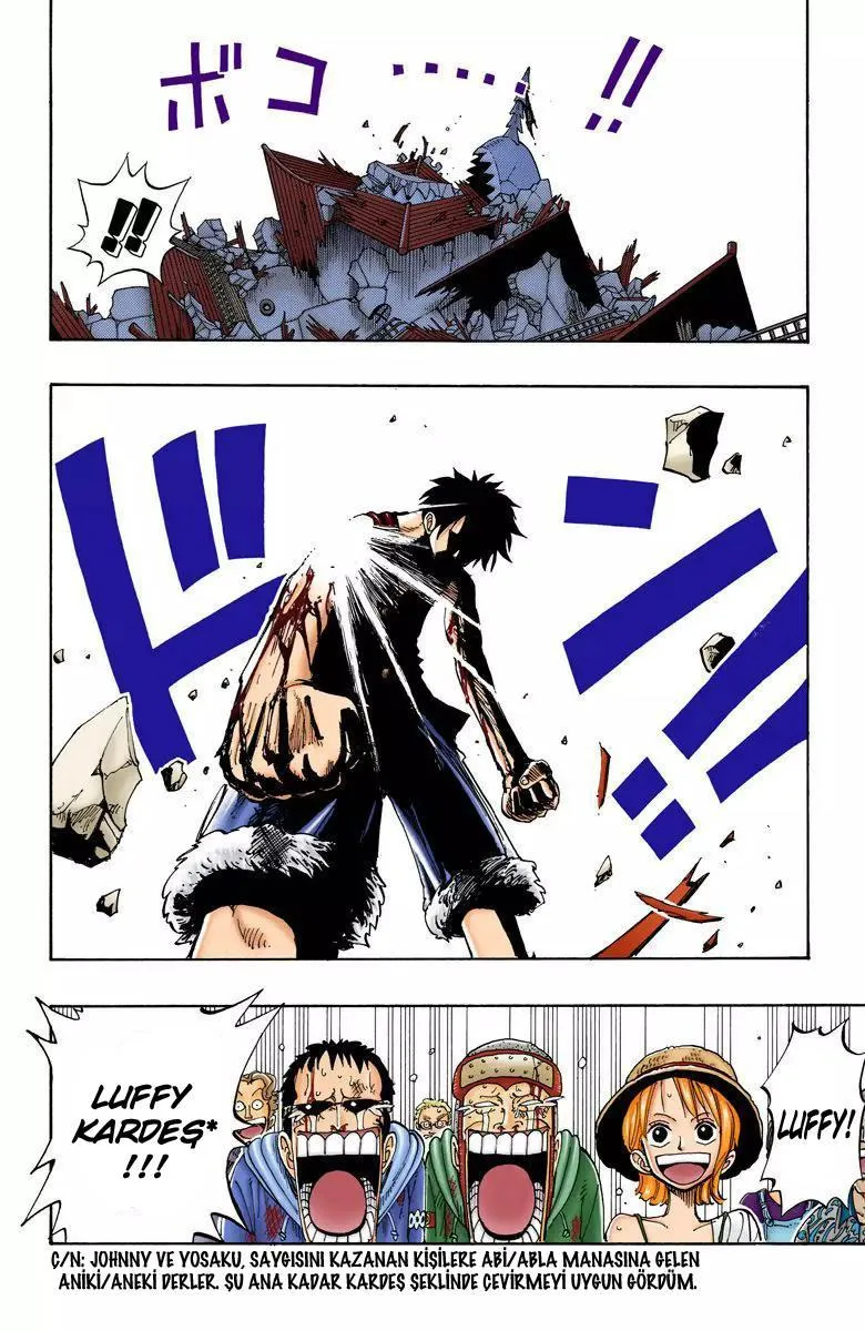 One Piece [Renkli] - Sayfa 5