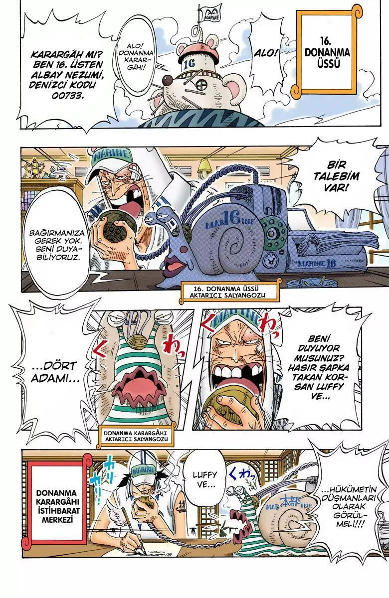 One Piece [Renkli] - Sayfa 17