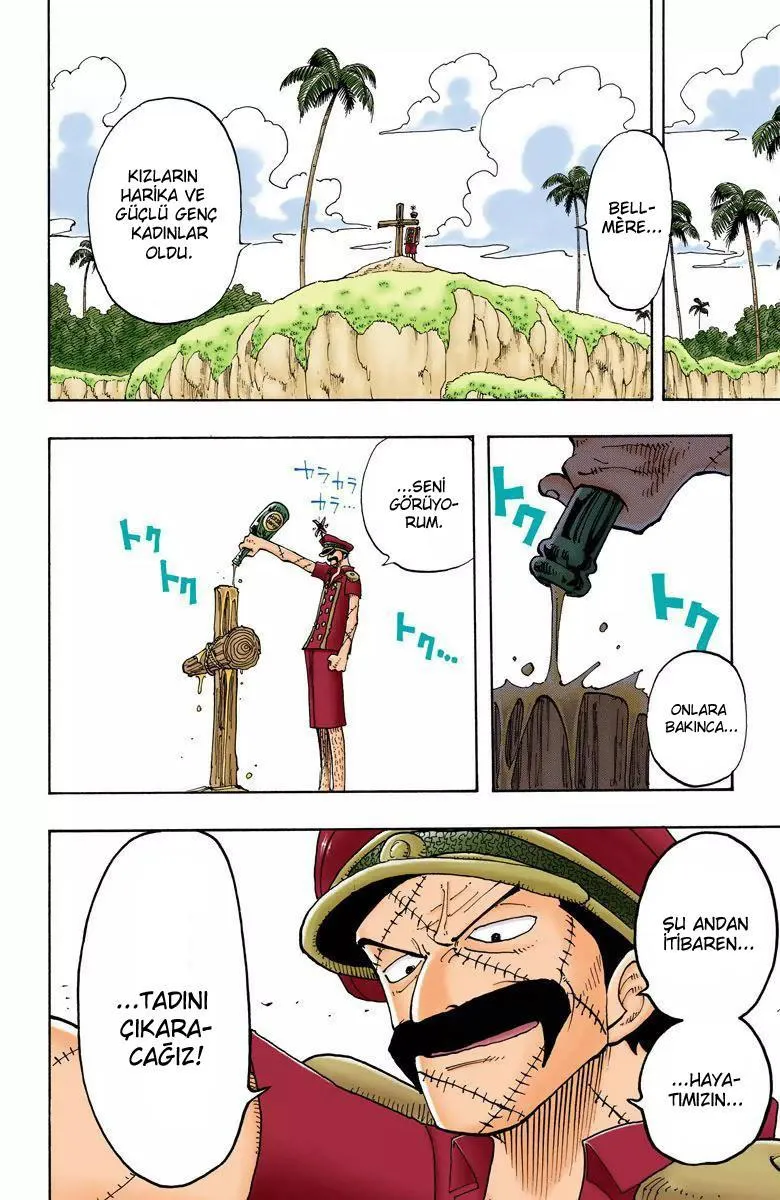 One Piece [Renkli] - Sayfa 5