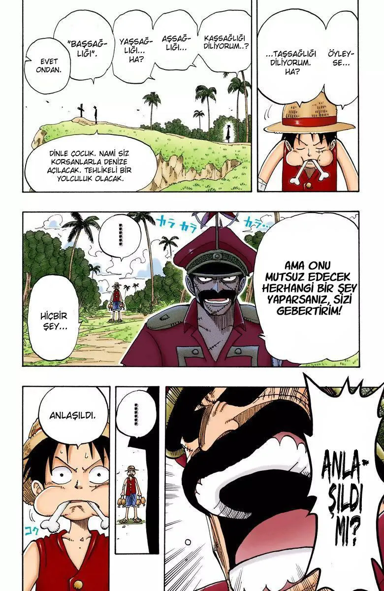 One Piece [Renkli] - Sayfa 7