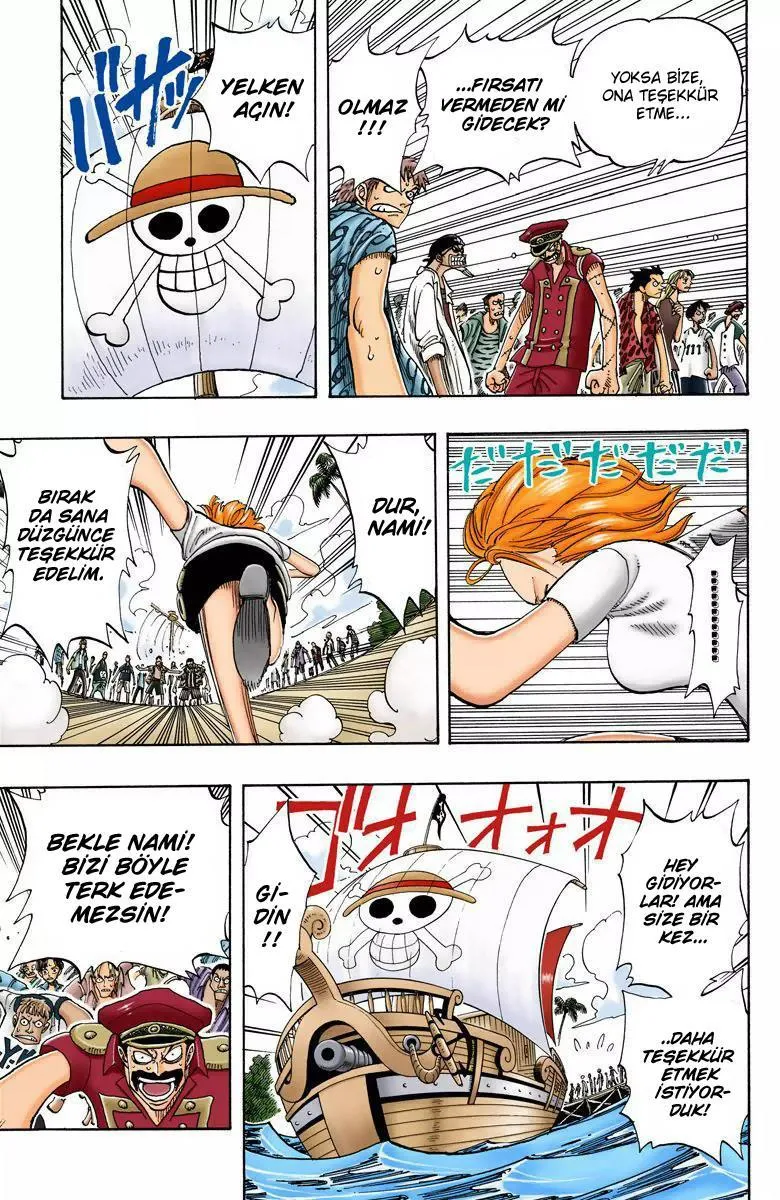 One Piece [Renkli] - Sayfa 14