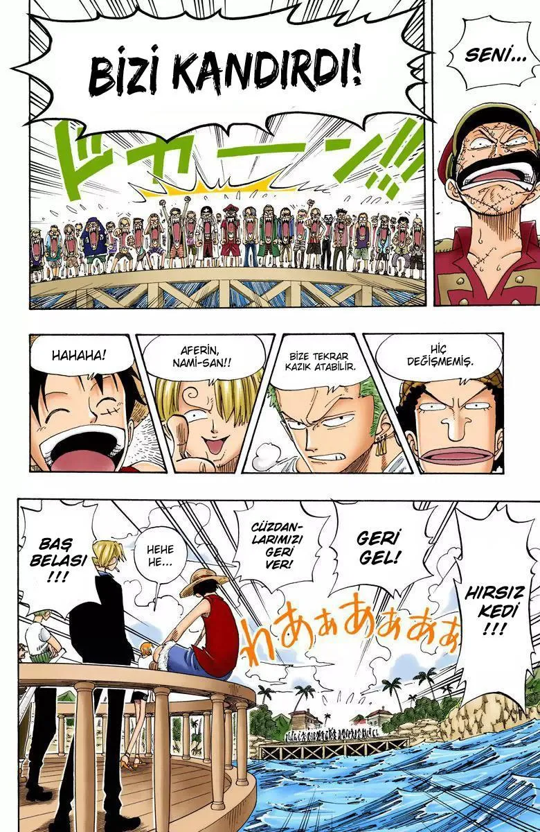 One Piece [Renkli] - Sayfa 17