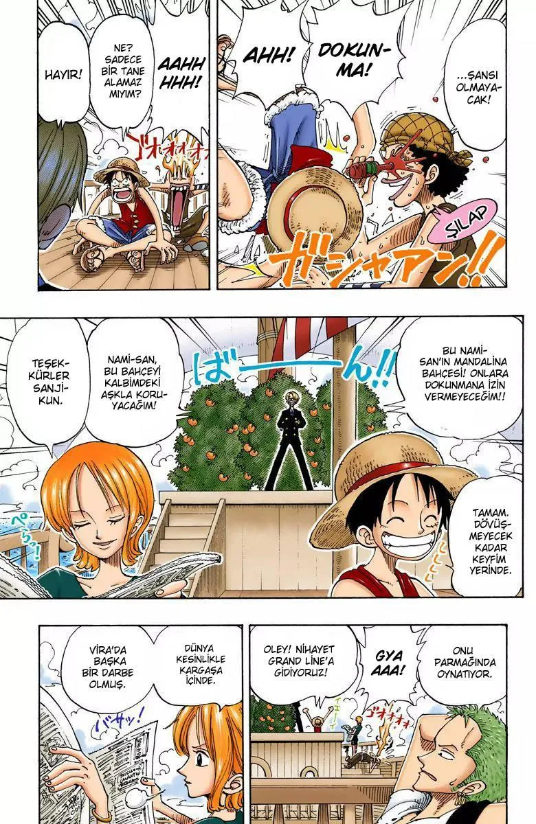One Piece [Renkli] - Sayfa 4