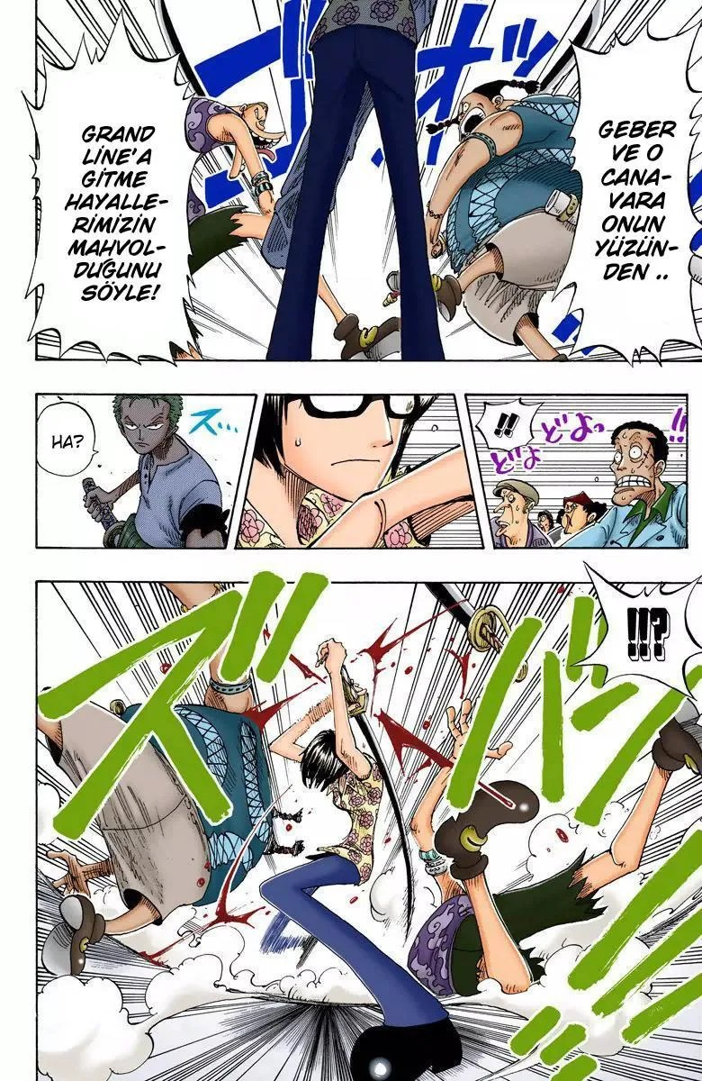 One Piece [Renkli] - Sayfa 14