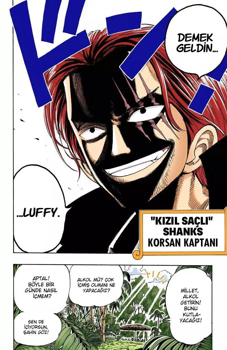 One Piece [Renkli] - Sayfa 18