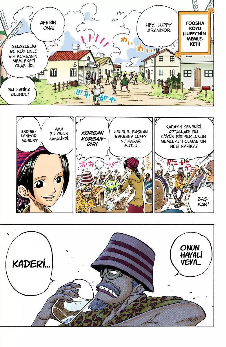 One Piece [Renkli] - Bölüm 0096 - Sayfa 19