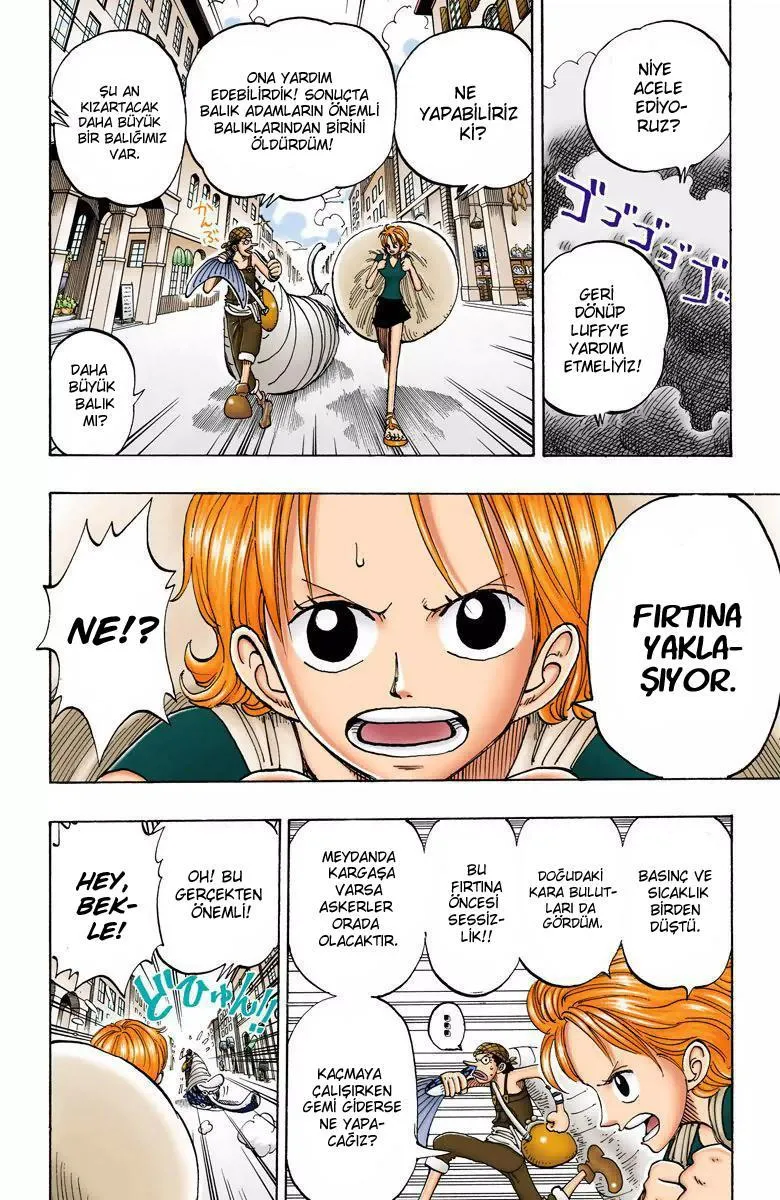 One Piece [Renkli] - Sayfa 5