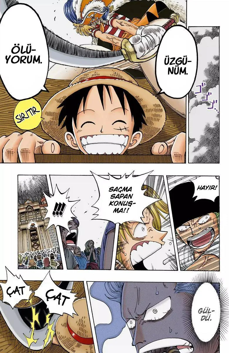 One Piece [Renkli] - Sayfa 14