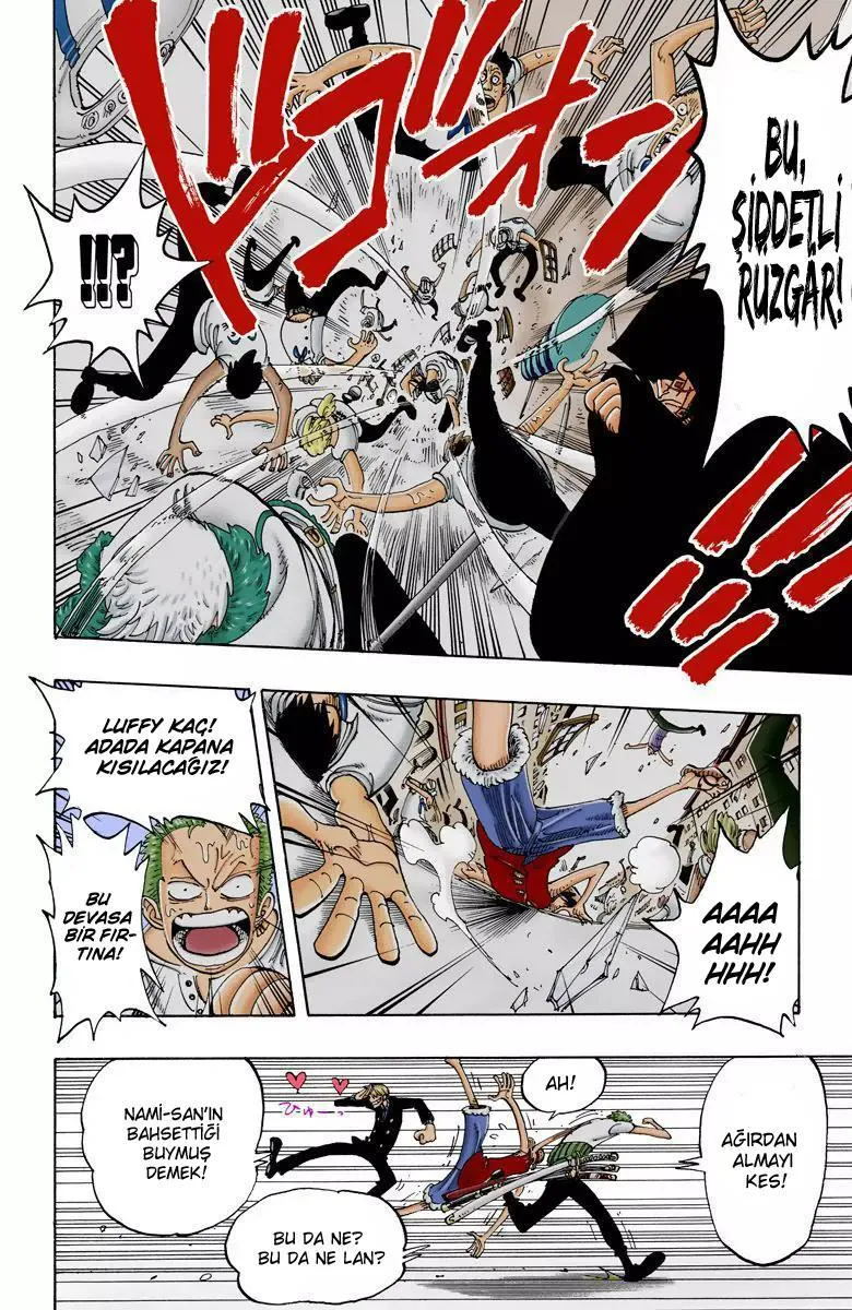 One Piece [Renkli] - Sayfa 19