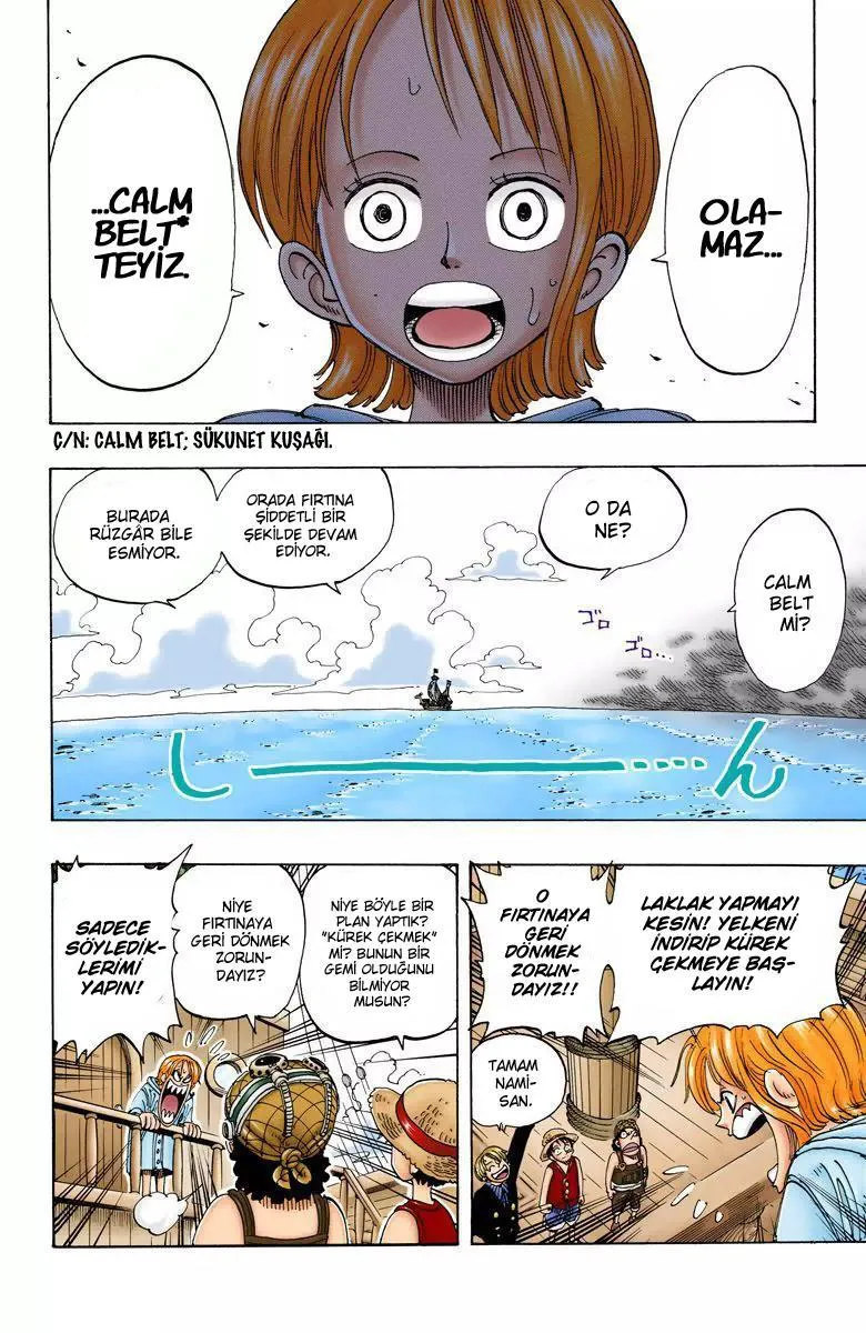 One Piece [Renkli] - Sayfa 7