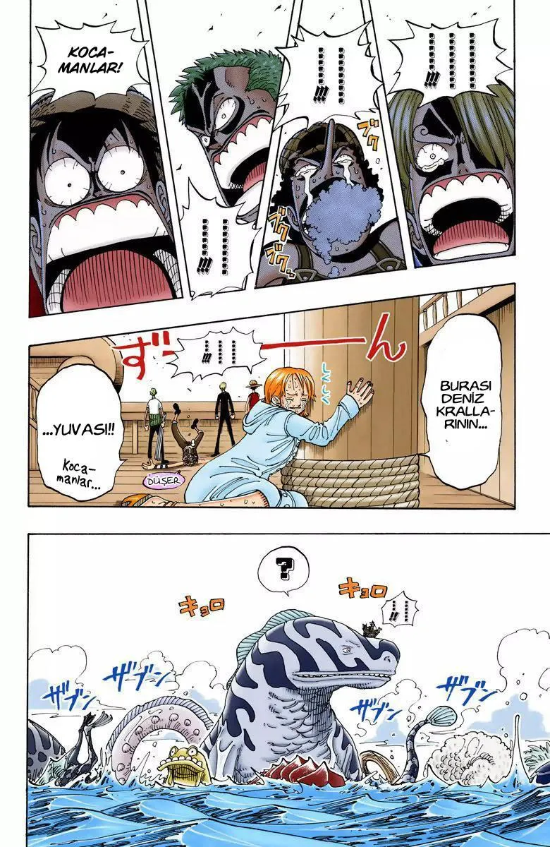 One Piece [Renkli] - Sayfa 10