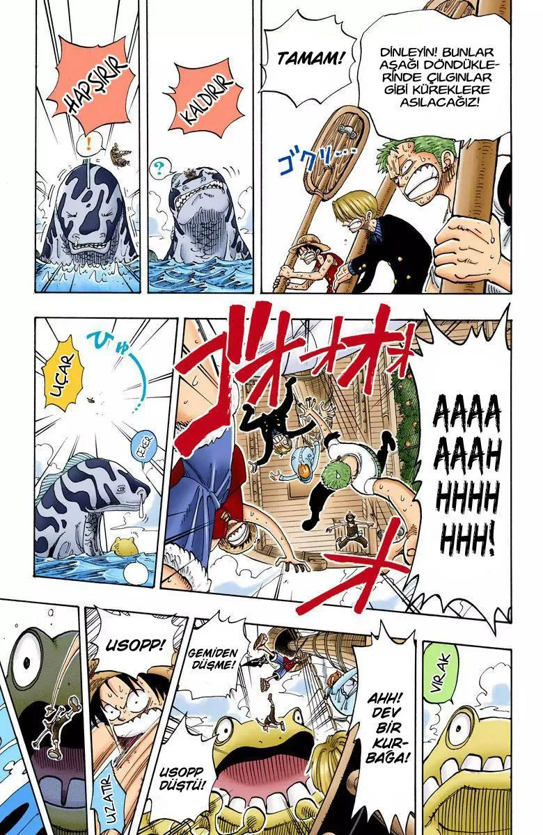 One Piece [Renkli] - Sayfa 11