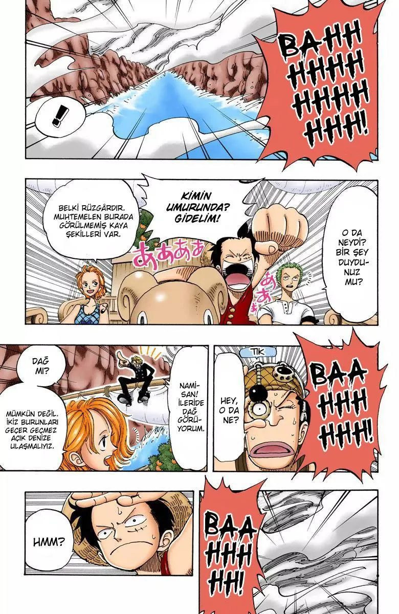 One Piece [Renkli] - Sayfa 4