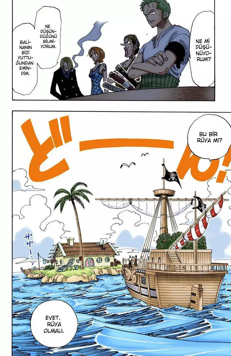 One Piece [Renkli] - Sayfa 16