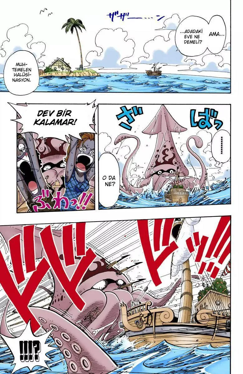 One Piece [Renkli] - Sayfa 17