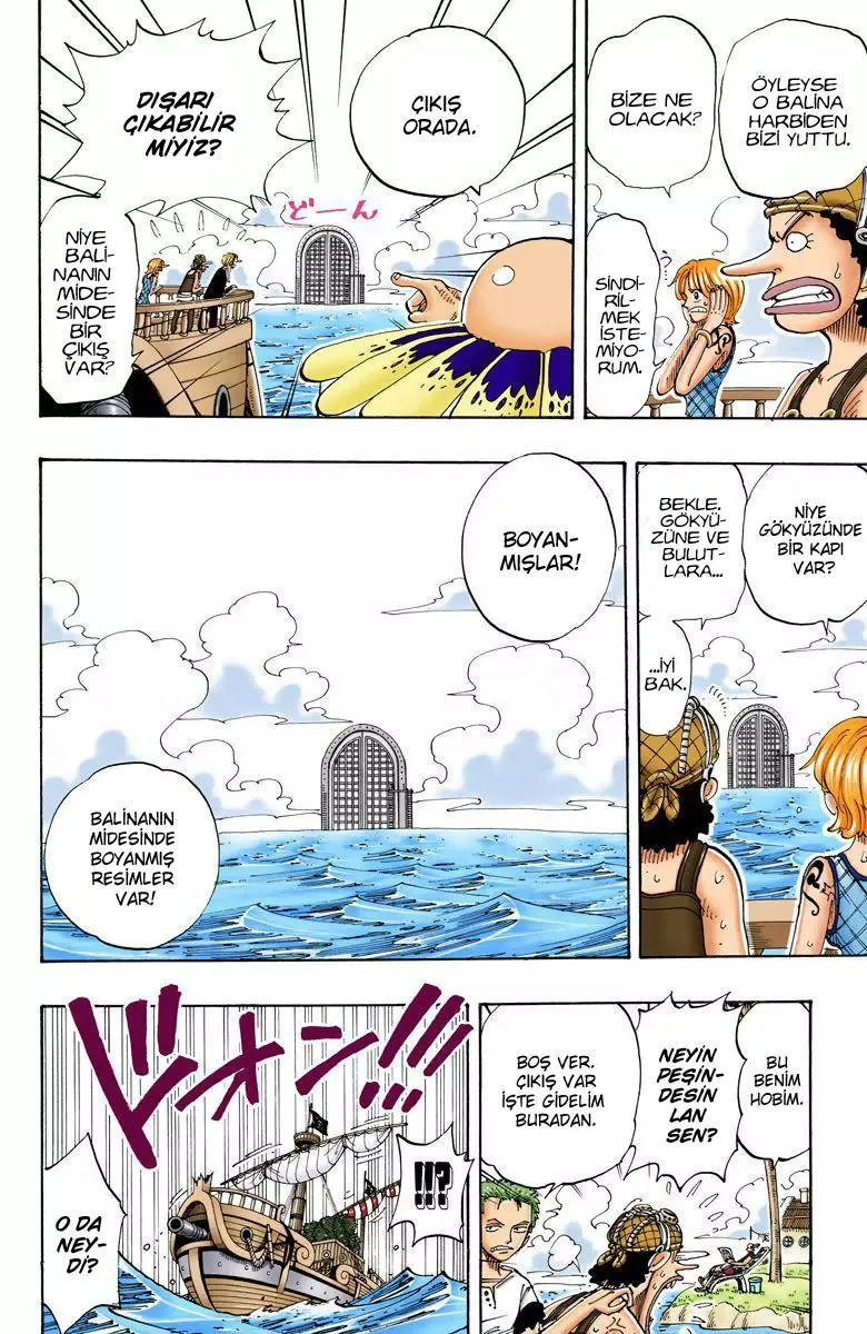 One Piece [Renkli] - Sayfa 6