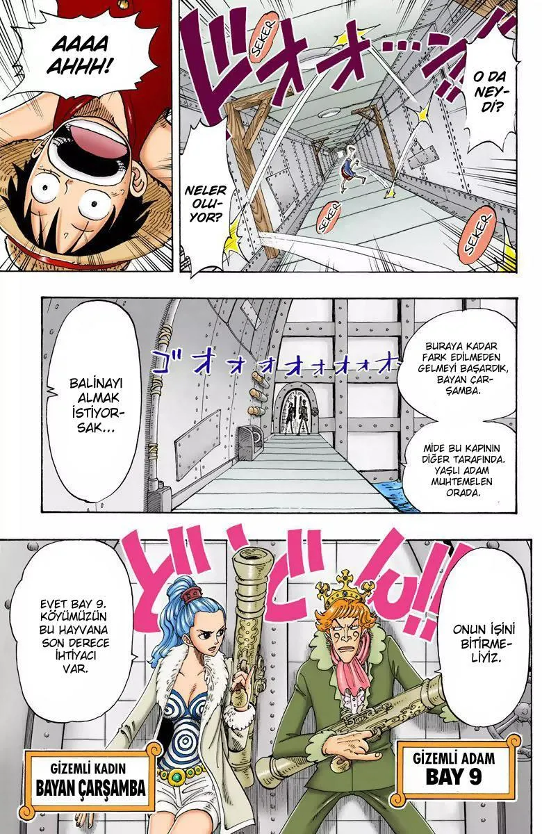 One Piece [Renkli] - Sayfa 9