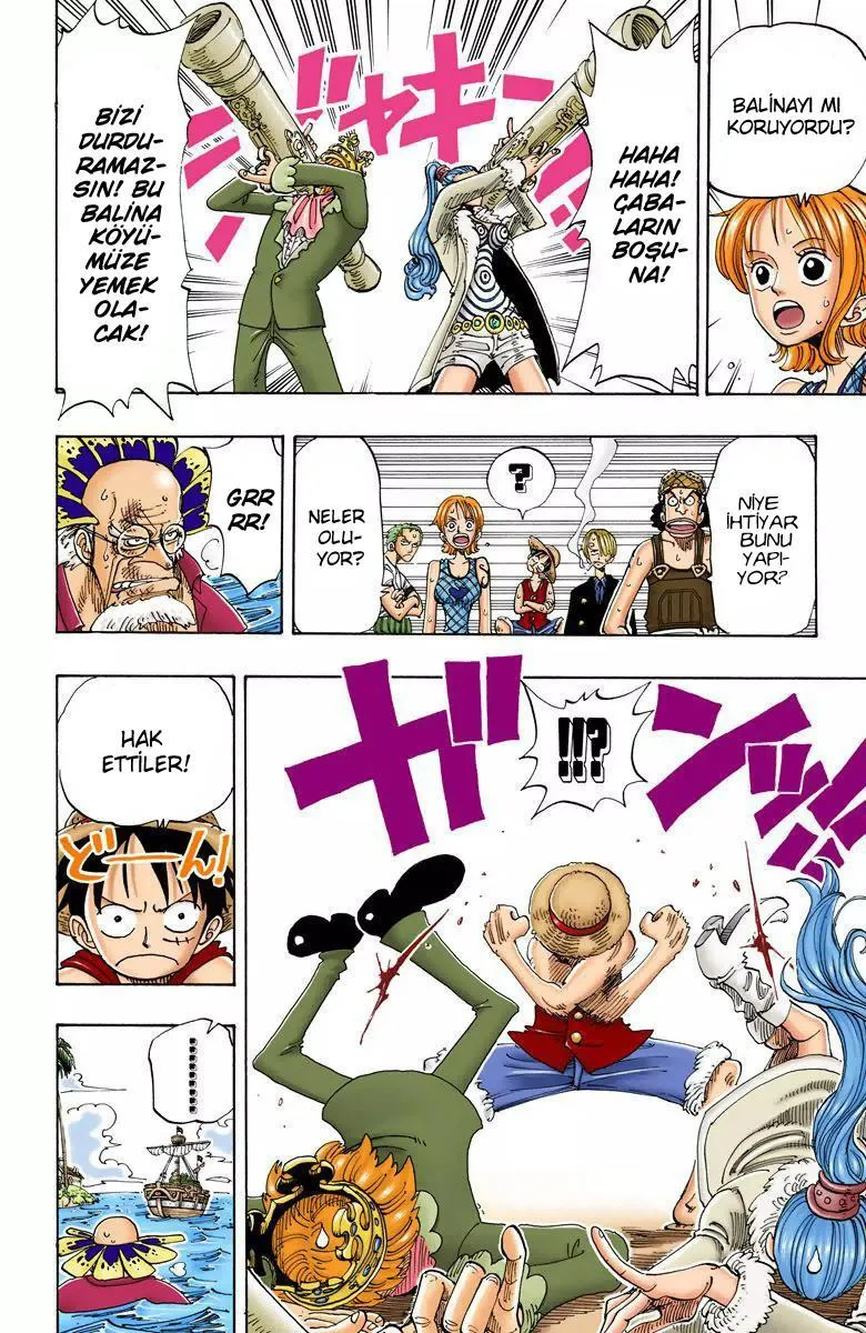 One Piece [Renkli] - Sayfa 18