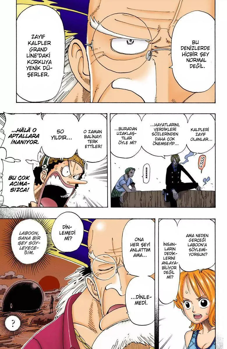 One Piece [Renkli] - Sayfa 8