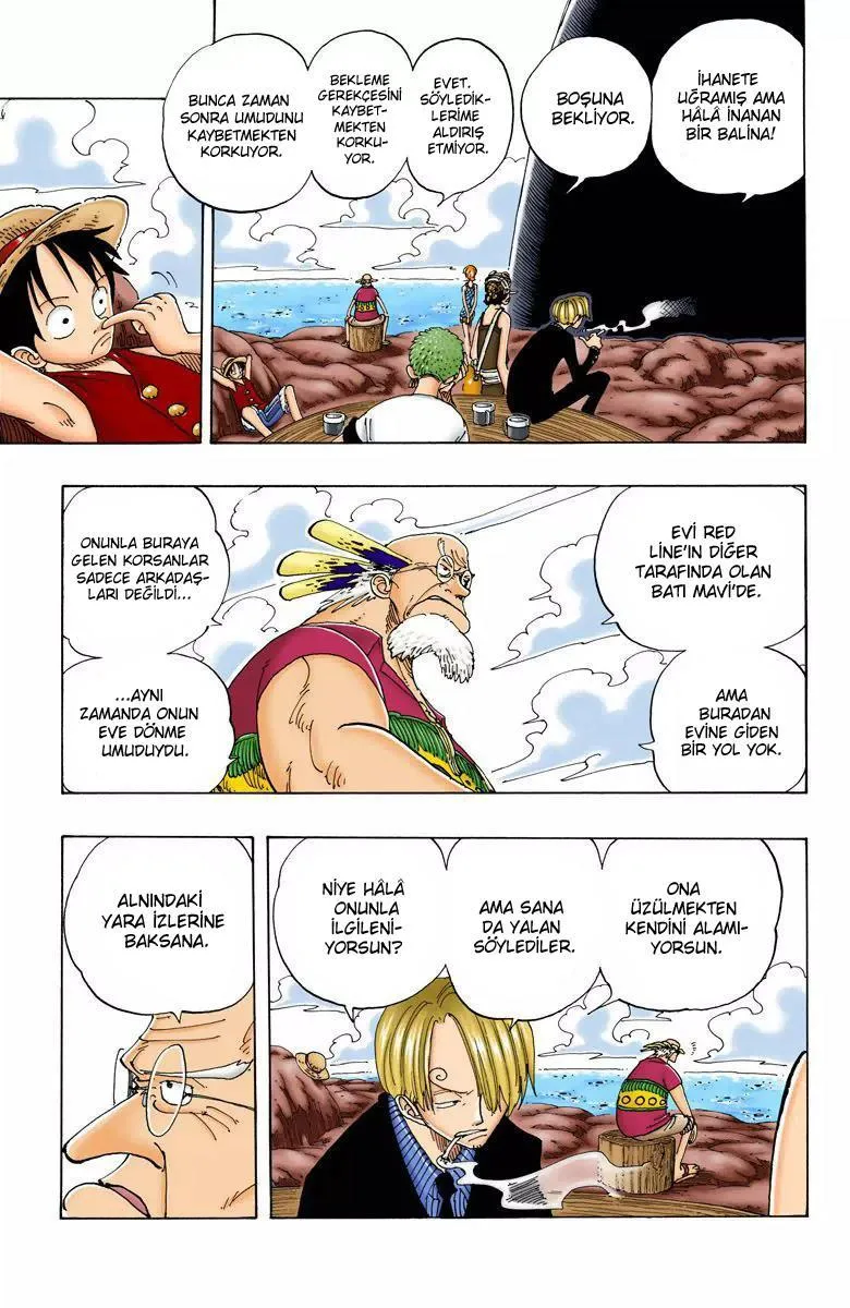 One Piece [Renkli] - Sayfa 12