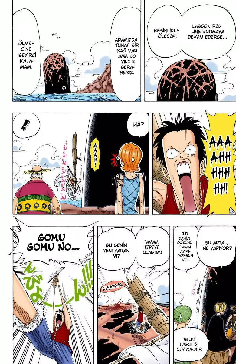 One Piece [Renkli] - Sayfa 13