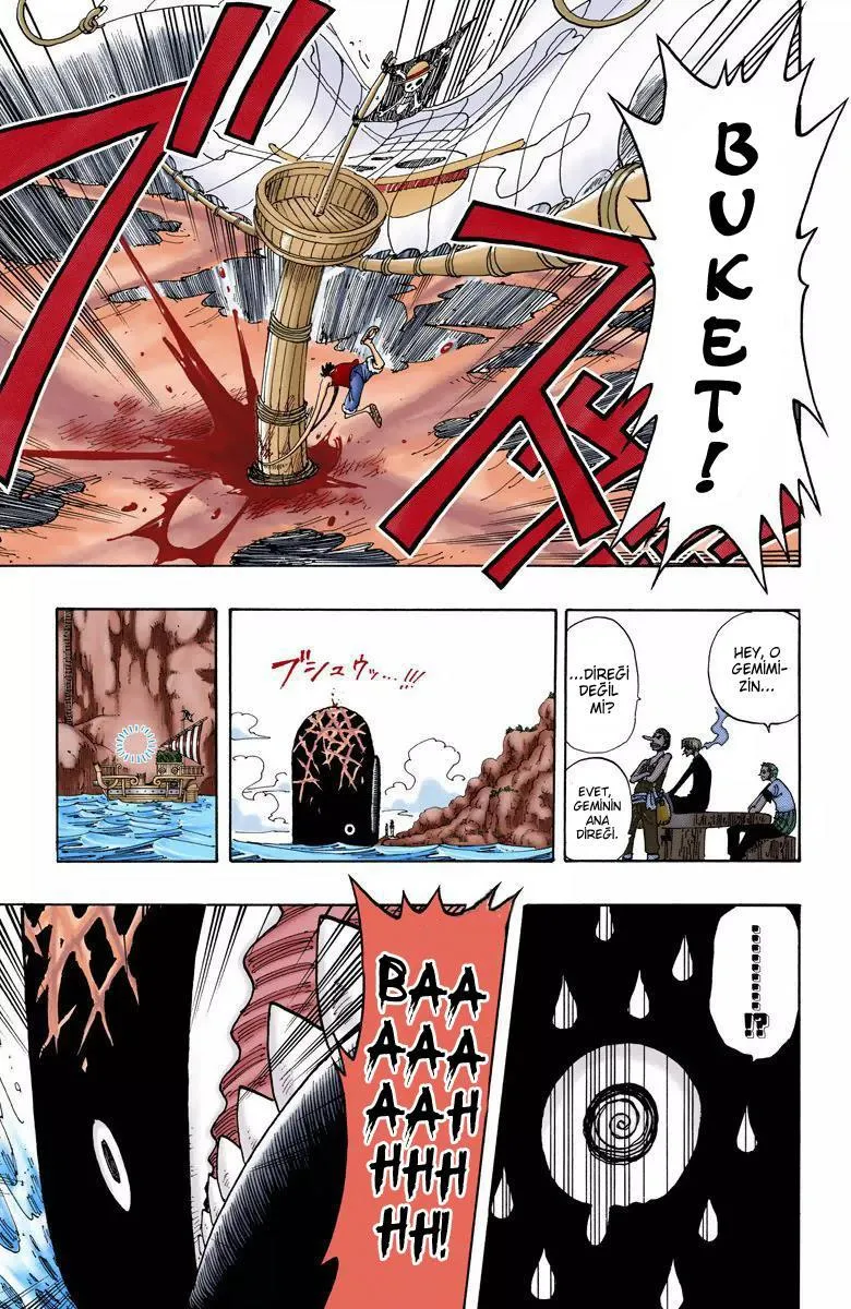 One Piece [Renkli] - Sayfa 14