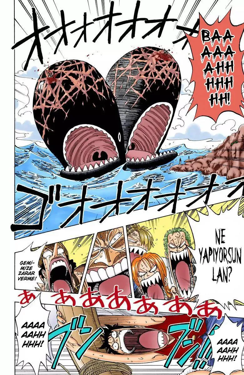 One Piece [Renkli] - Sayfa 15