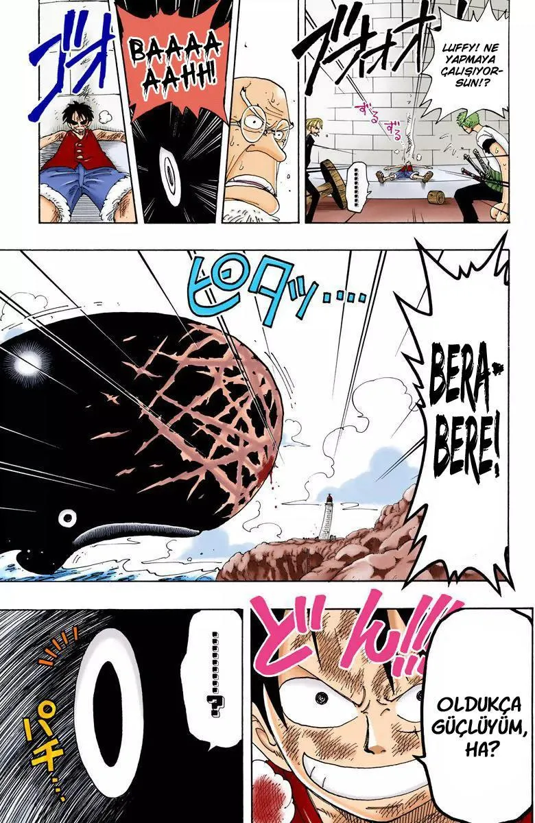 One Piece [Renkli] - Sayfa 18