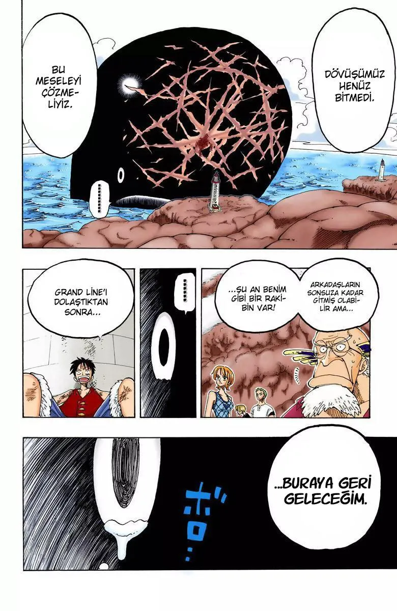 One Piece [Renkli] - Sayfa 19