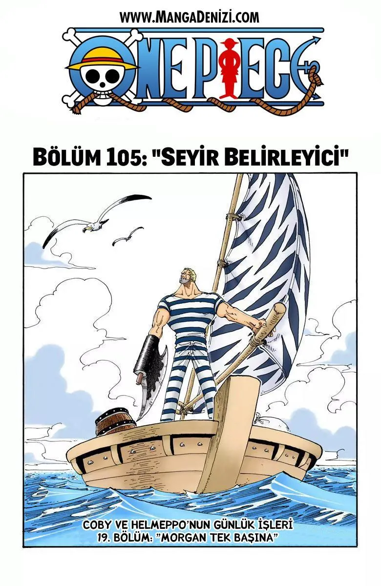 One Piece [Renkli] - Sayfa 2