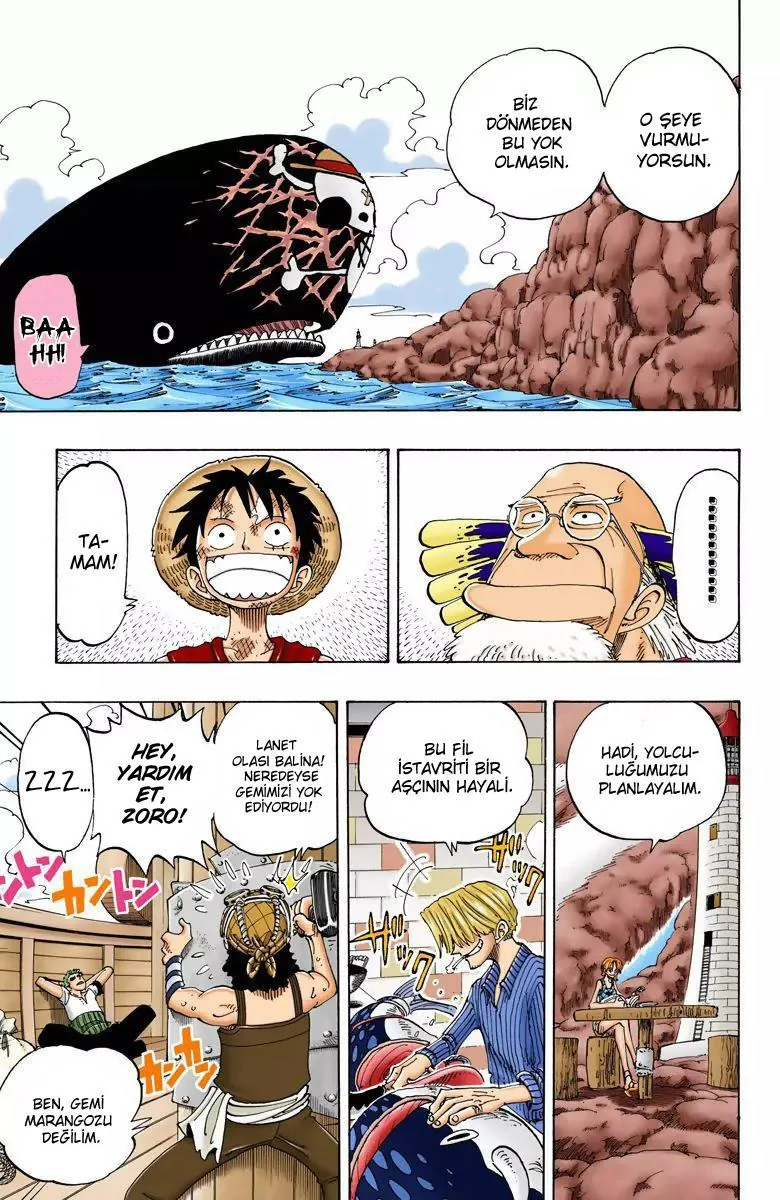One Piece [Renkli] - Sayfa 4