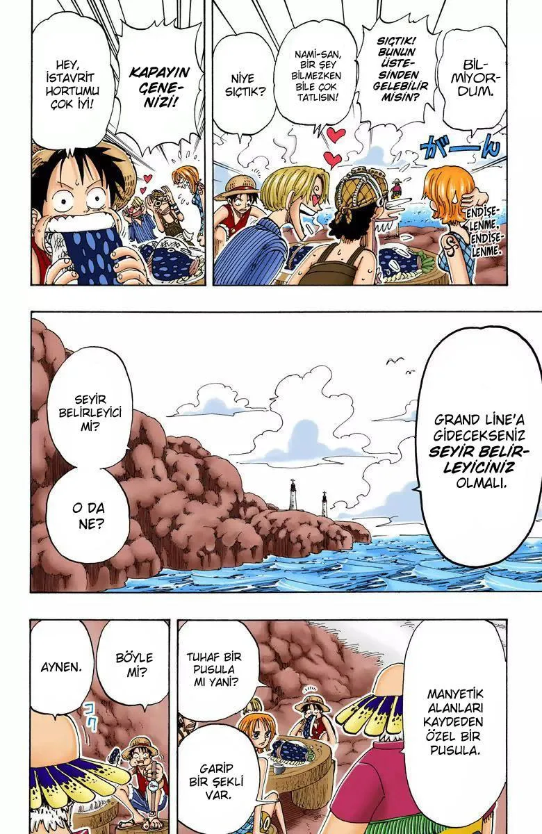 One Piece [Renkli] - Sayfa 7