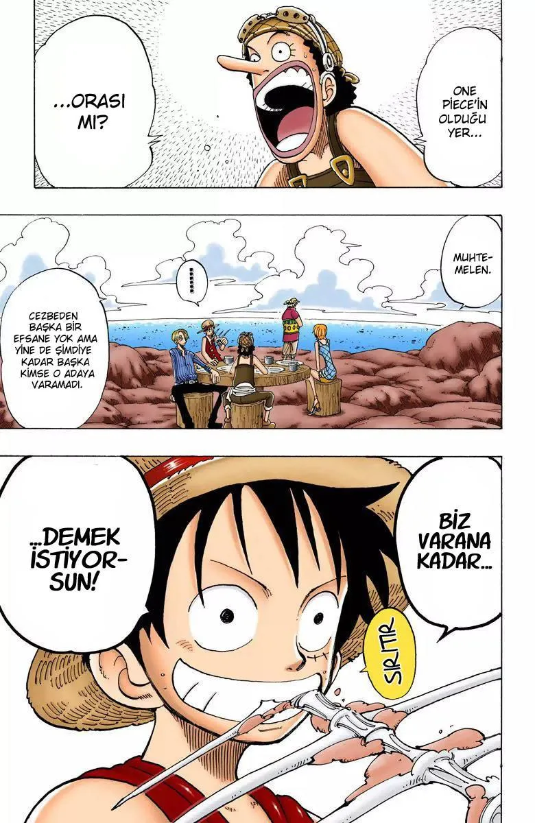 One Piece [Renkli] - Sayfa 10