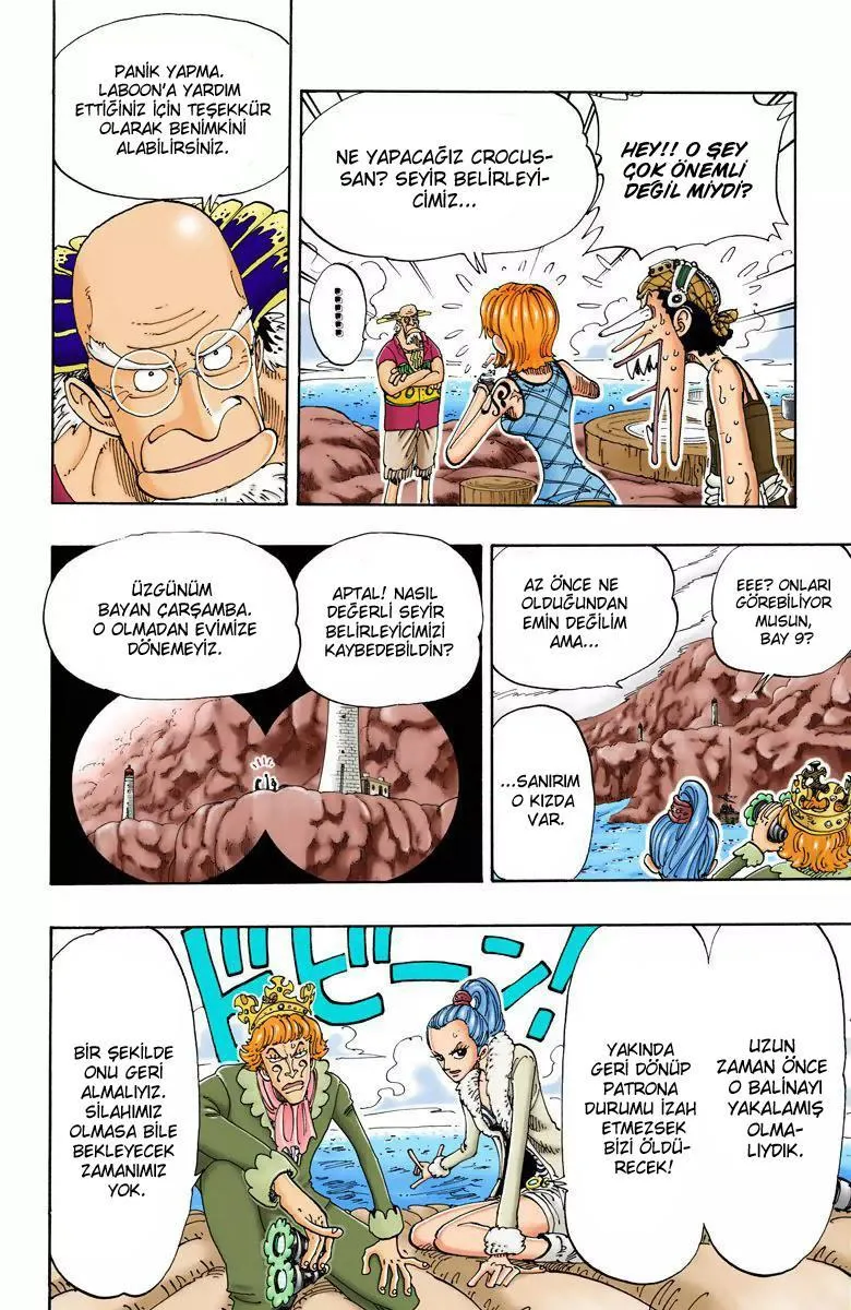 One Piece [Renkli] - Sayfa 13