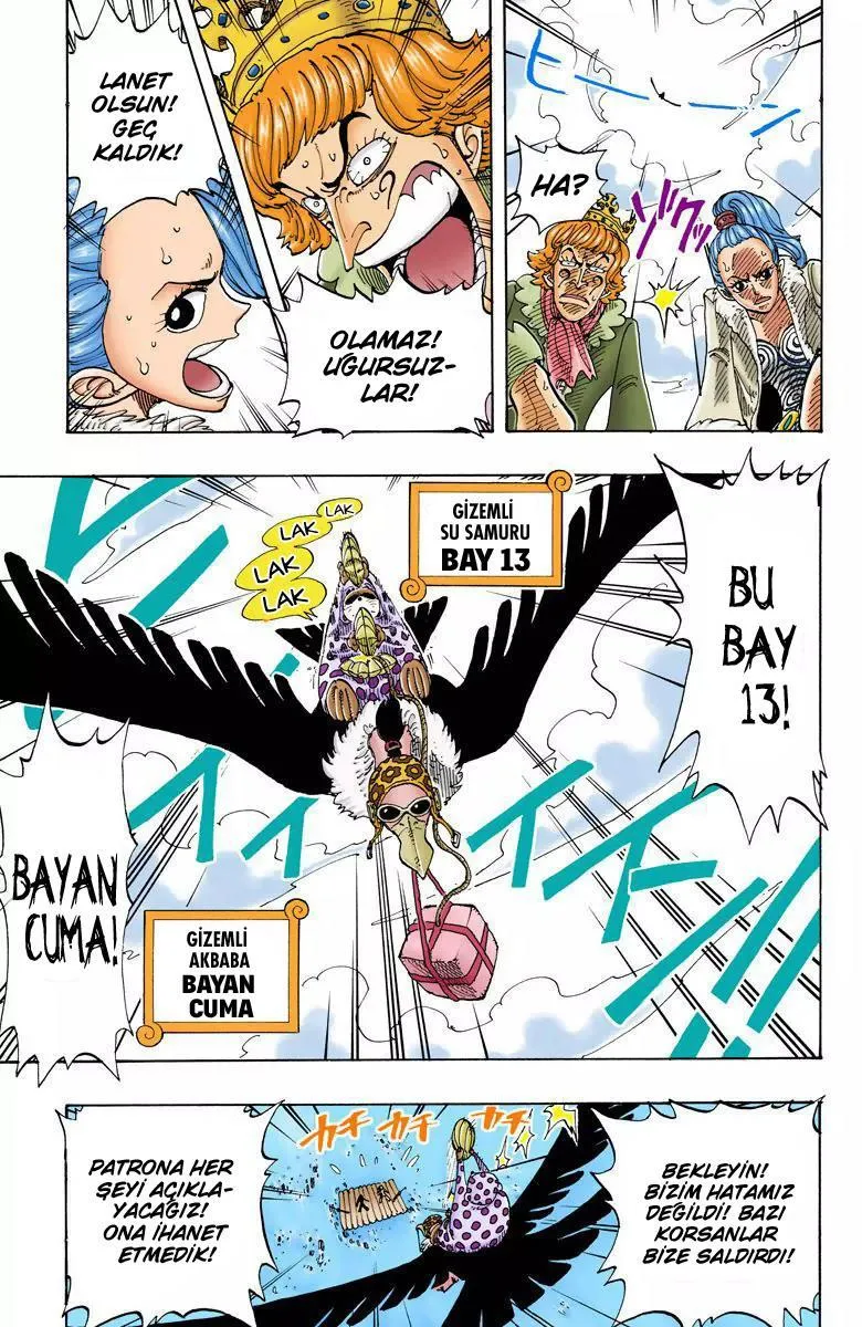 One Piece [Renkli] - Sayfa 14