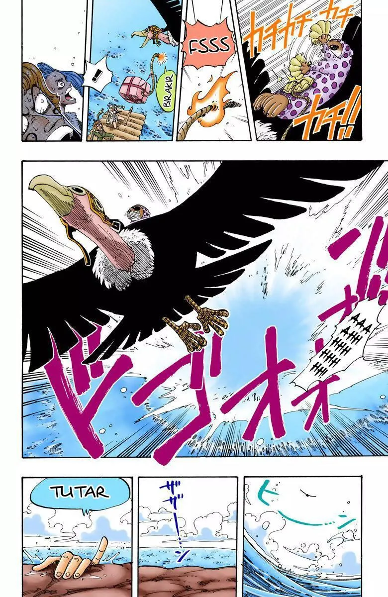 One Piece [Renkli] - Sayfa 15