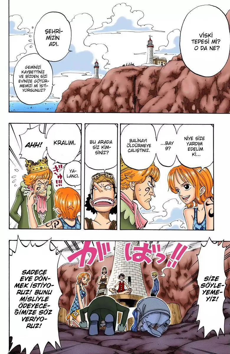 One Piece [Renkli] - Sayfa 17