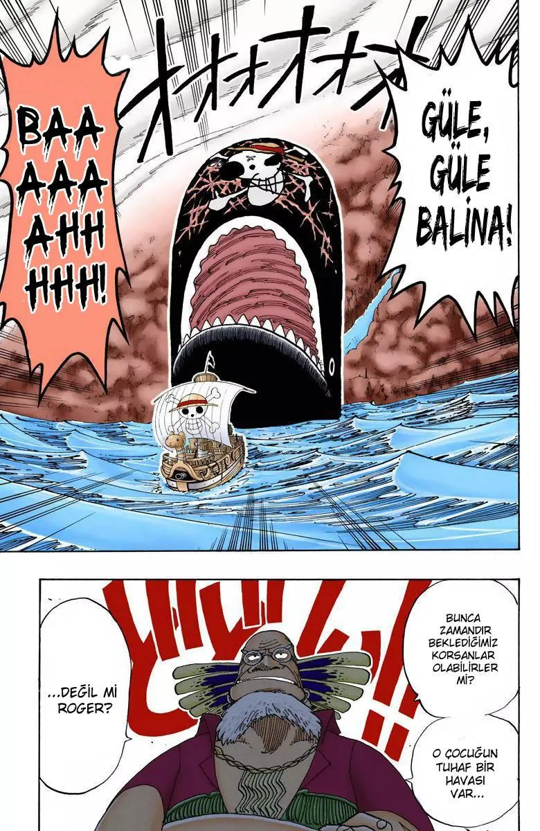 One Piece [Renkli] - Bölüm 0105 - Sayfa 20