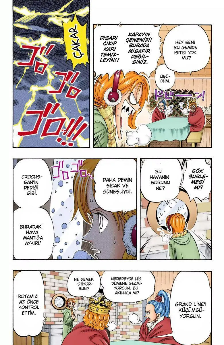 One Piece [Renkli] - Sayfa 5