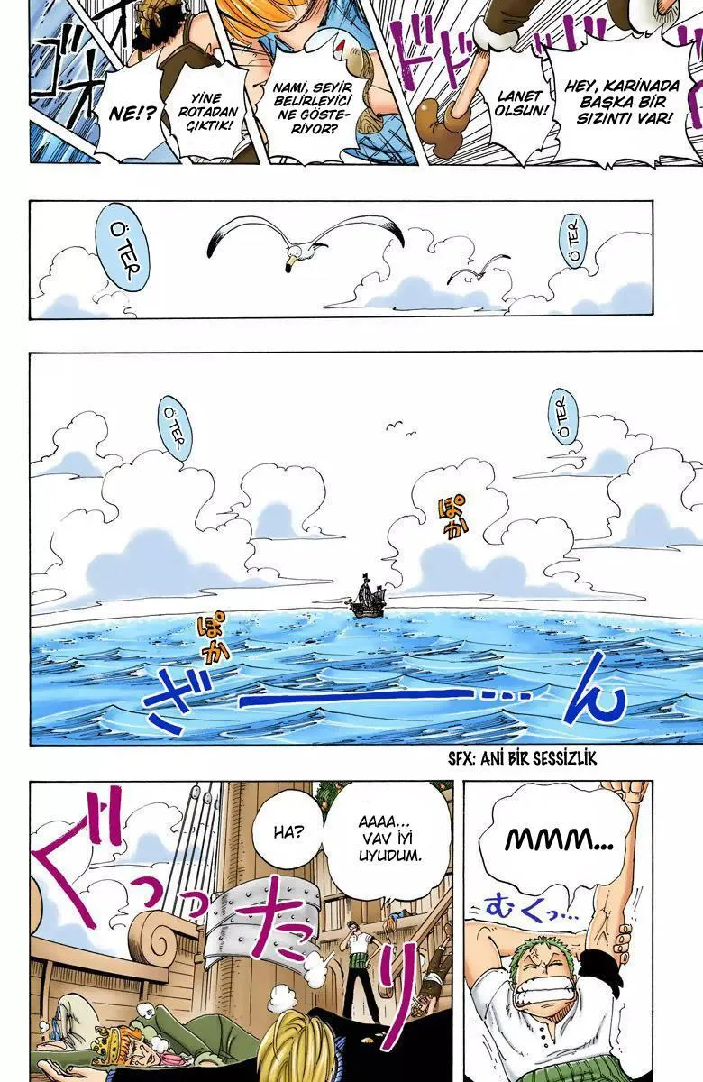 One Piece [Renkli] - Sayfa 9