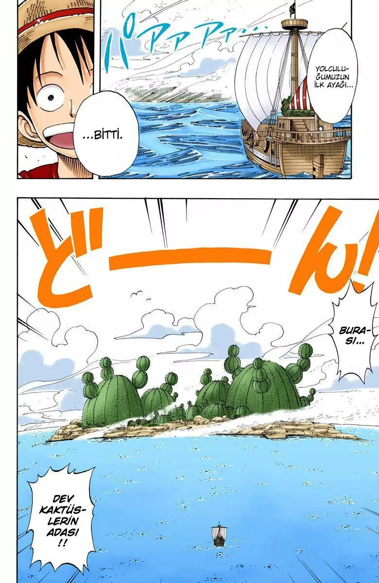 One Piece [Renkli] - Sayfa 13