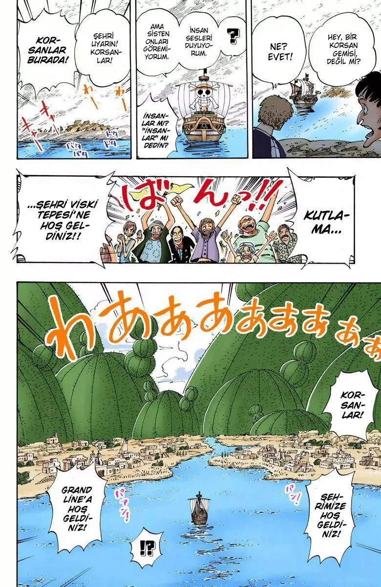 One Piece [Renkli] - Sayfa 17