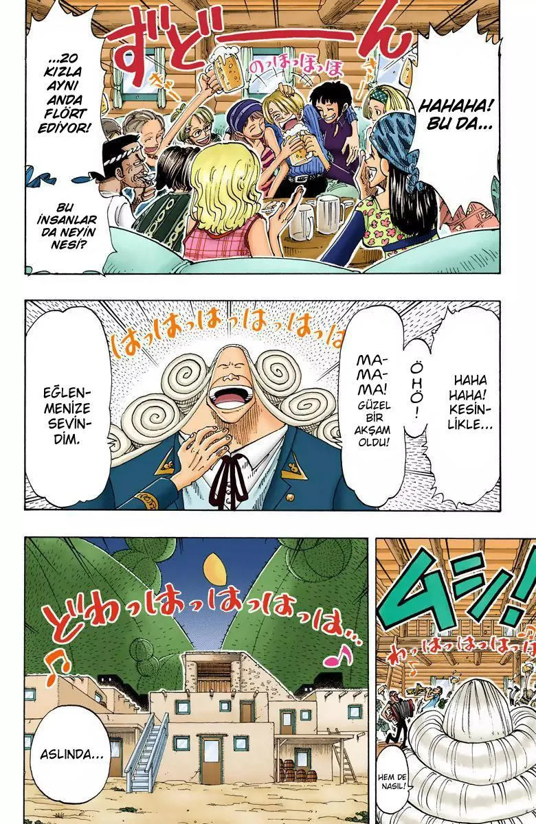 One Piece [Renkli] - Sayfa 5