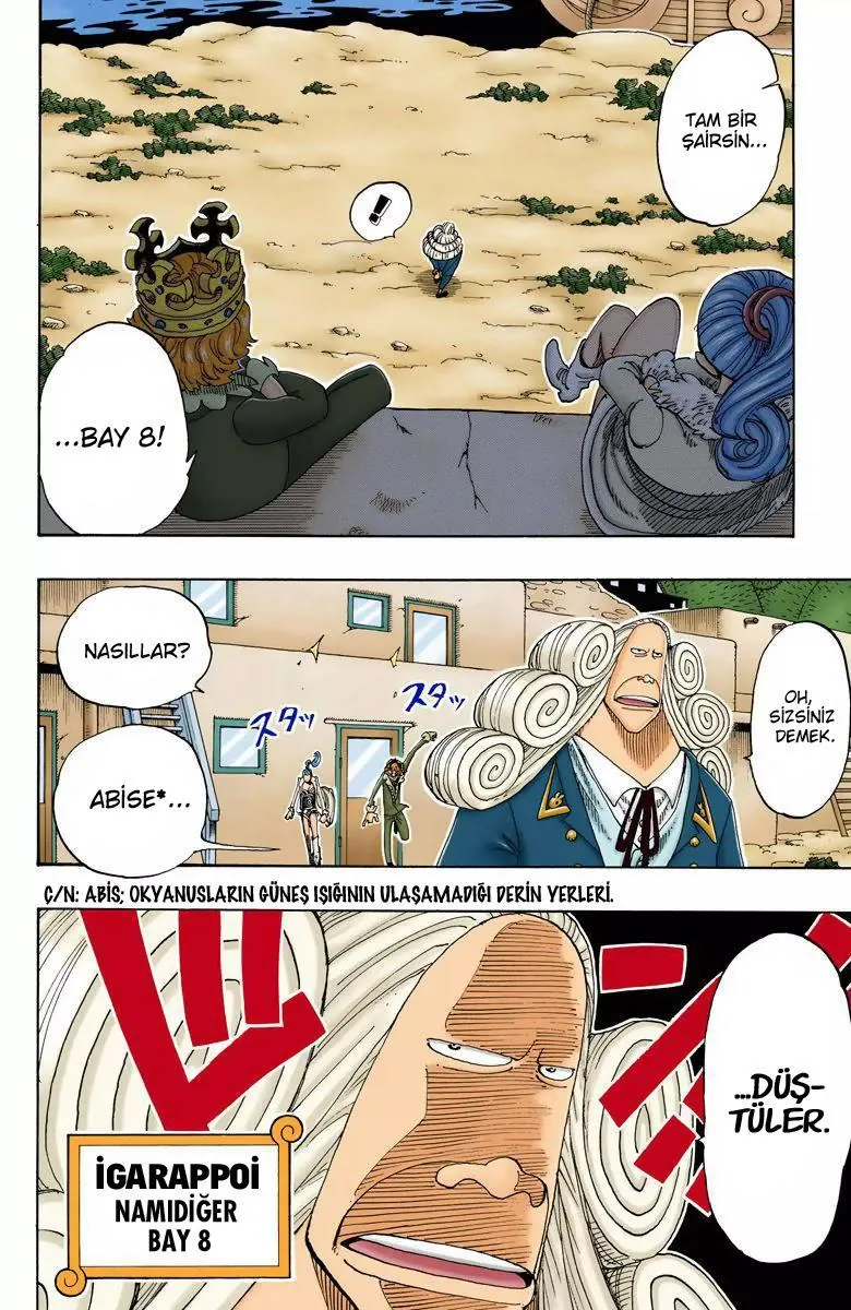 One Piece [Renkli] - Sayfa 9